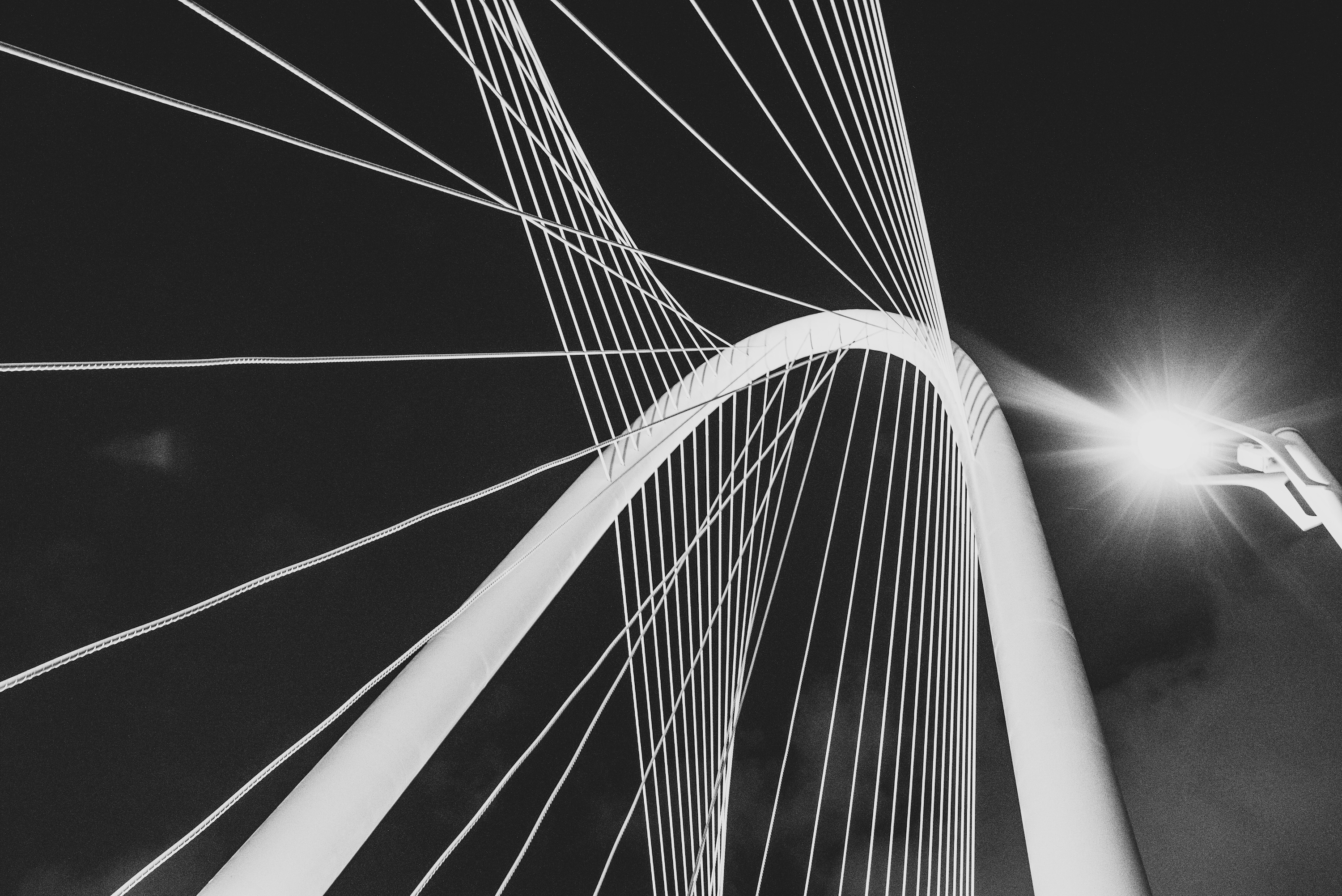 Earthquake Engineering & Structural Engineering Image